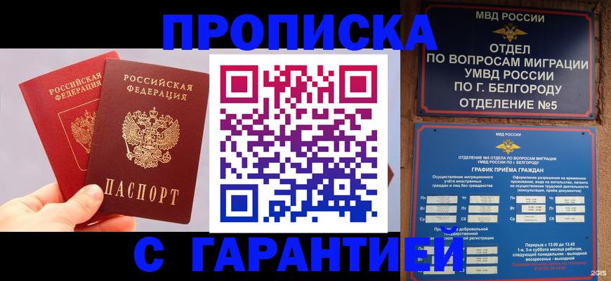 прописка 2025 в Коряжме